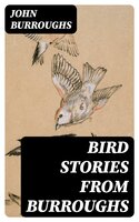 Bird Stories from Burroughs: Sketches of Bird Life Taken from the Works of John Burroughs - John Burroughs