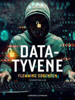 Data-tyvene - Flemming Sørensen