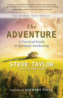The Adventure: A Practical Guide to Spiritual Awakening - Steve Taylor