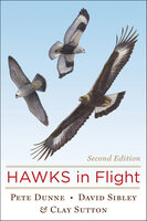 Hawks In Flight - Pete Dunne, David Sibley, Clay Sutton