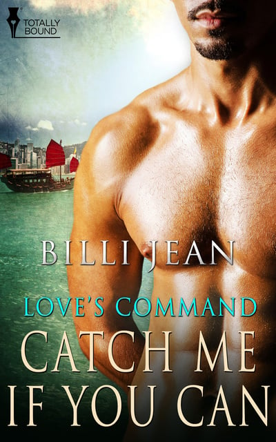 catch me if you can book cover